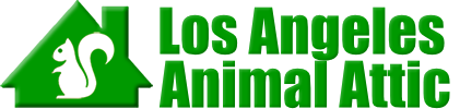 Los Angeles Animal Attic
